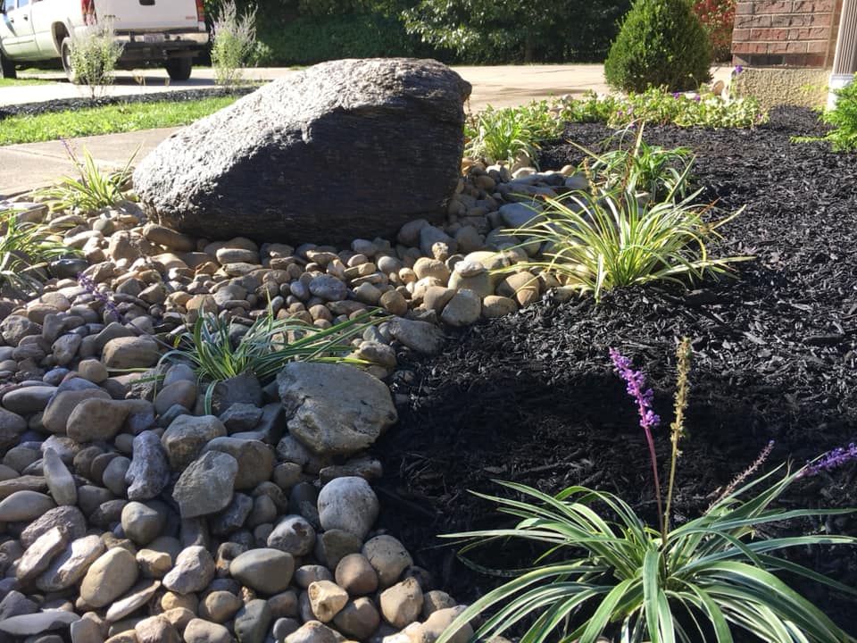 landscape plants surrounded by oversize gravel and boulder